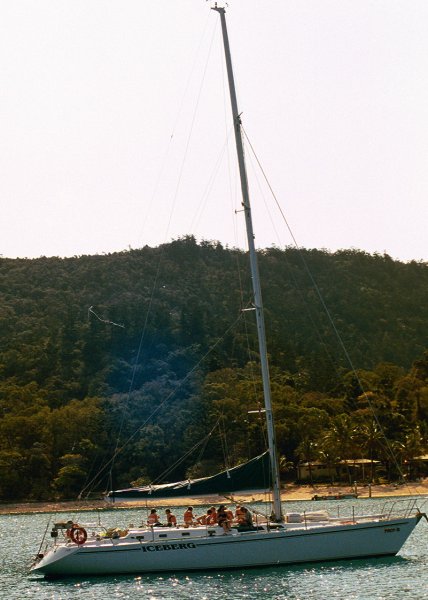 Back