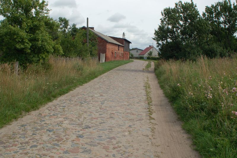 Back